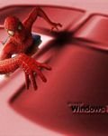 pic for SPAIDERMAN WINDOWS